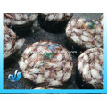 Cangrejo de natación azul congelado 100g -150g 150-200g